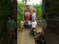 Download Lagu Kerala puram | Kerala utsavam | Kerala tample | roadshow | Kerala people | Kerala culture |