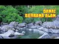 Download Lagu Damai Bersama Alam Ketika Mendengar Suara Gemericik Air Sungai dan Kicau Burung di Pagi Yang Sejuk