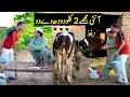 Download Lagu Rashid Kamal \u0026 Fareed Sabri New Comedy Video