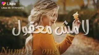 مهرجان كل ما شوفك  اقول لا مش معقول  دندنها