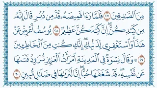 سورة يوسف هزاع البلوشي12 Yusuf 