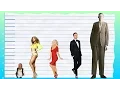 How Tall Is Beyonce - Height Comparison