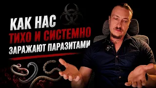 Как нас тихо и системно заражают паразитами