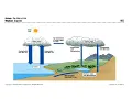 Nutrient Cycles Notes