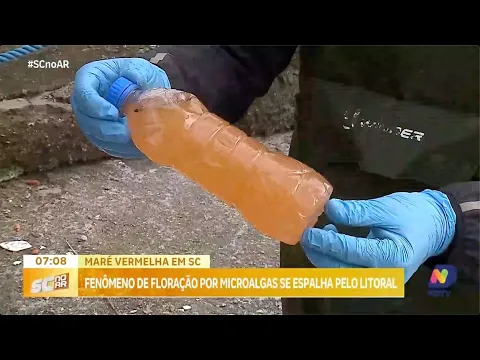 Maré vermelha em SC: fenômeno de floração por microalgas se espalha pelo litoral