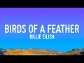 Download Lagu Billie Eilish - BIRDS OF A FEATHER (Lyrics)