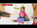 Download Lagu BAYI LUCU DIGIG1T BUAYA MASUK KE RUMAH !! MAMAH PANIK