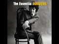 Hurdy Gurdy Man (Single Version)