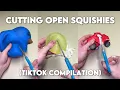10 minutes of cutting open squishies - tiktok compilation