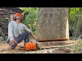 Lagu Thrilling Moment! Cutdown 3 Leaning Trees Near the House!