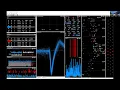 2021 Lecture 2 4 - Curating sorted spikes with Phy