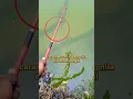 Download Lagu tehnik mancing lubang/cara mencari lubang nila di sungai atau danau#subscribetomychannel