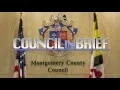 Council in Brief