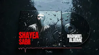                                           دندنها
