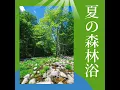 夏の森林浴