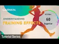 Tutorial - Understanding Training Effects