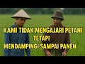 Download Lagu KAMI HADIR UNTUK MENJADI PENDAMPING BUKAN MENGAJARI PETANI‼️
