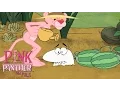 Download Lagu Pink Panther, Panther of the World! | 50 Minute Nature Compilation