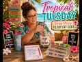 Tropical Tuesday Tiny Summer Savings Debt Binder