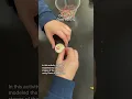 Cell cycle activity using Oreos sprinkles