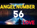 ANGEL NUMBER 56 ANGEL NUMBER 56 LOVE ANGEL NUMBER 56 FOR TWIN FLAME ANGEL NO 56 diviinetwinflame