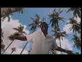 Ka$e x Green Lion Crew - What's the Word? (Official Music Video 2025)