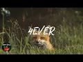Clairo - 4EVER