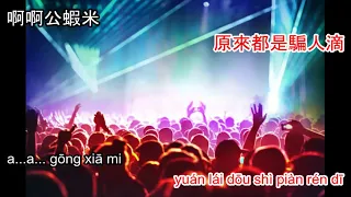 Download Gong xia mi - 公蝦米 DJ karaoke MP3