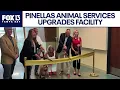 Pinellas County Animal Services opens upgraded kennel facility