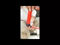 Harbor Freight multi use transfer pump review gas siphon