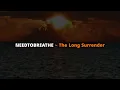 NEEDTOBREATHE ~ The Long Surrender (W. Vocals)