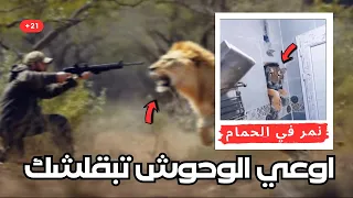                                                                                                      دندنها