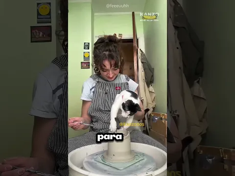 Pot Buatan Kucing Ini Justru Paling Laris Terjual! 🏺🐾