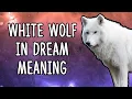 White Wolf in Dream Meaning Biblical Meaning Of Wolves In Dreams