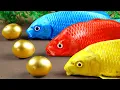 Download Lagu Best Of Small Fish Recipe | MINIATURE Fish Cooking Made EASY with Simple Recipe
