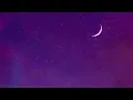 Purple Disco Machine, MORGAN - Can't Stop Loving You (Visualizer)