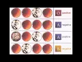 Understanding Blood Type Results Review and Practice