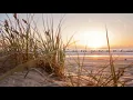 Motions | Ambient Version