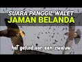 Download Lagu SUARA PANGGIL BURUNG WALET \