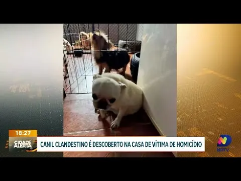 Descoberto canil clandestino na residência de vítima de homicídio em Blumenau