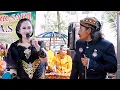 Lagu TLINGSINGAN - SETYO TUHU - OJO LAMIS | CAMPURSARI CAS COKEK MANIA SRAGENAN