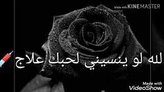 والله لو ينسيني لحبك علاج اجمل شيله 