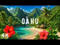 Lagu Oahu, Hawaii 4K - Exploring Hawaii's Stunning Beaches and Volcanic Wonders - 4K VIDEO UHD