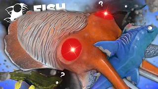 หมึกกระดอง กับวิชา(คามุย) พ่นหมึกจน...หลุด? | Fish Feed and Grow #178