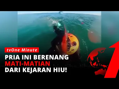 Panik! Momen Mengerikan Peselancar Bertemu Hiu di Pantai