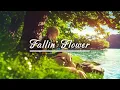 Fallin’ Flower - Piano [1 Hour]