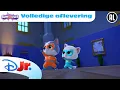Download Lagu 😶 Stille Verrassing | Super Katjes | Volledige Aflevering | Disney Junior België-Nederland