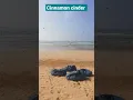 Download Lagu Cinnamon cinder at Sri Lankan Beach #cinnamon cinder #cinnamon #natural #beach #ceylon #weligama