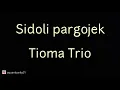 Download Lagu Sidoli Pargojek( Tioma Trio )_ Lirik dan Terjemahan