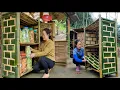 Download Lagu 2 years in the forest, Building interiors in the house, Harvesting papaya to sell live in the wild.